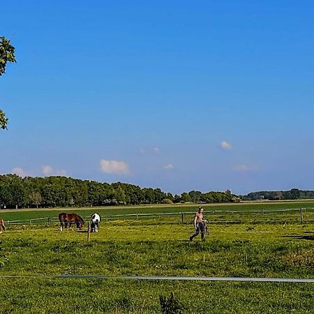 Chalet Weizicht Op Minicamping Hoogelande Grijpskerke ภายนอก รูปภาพ