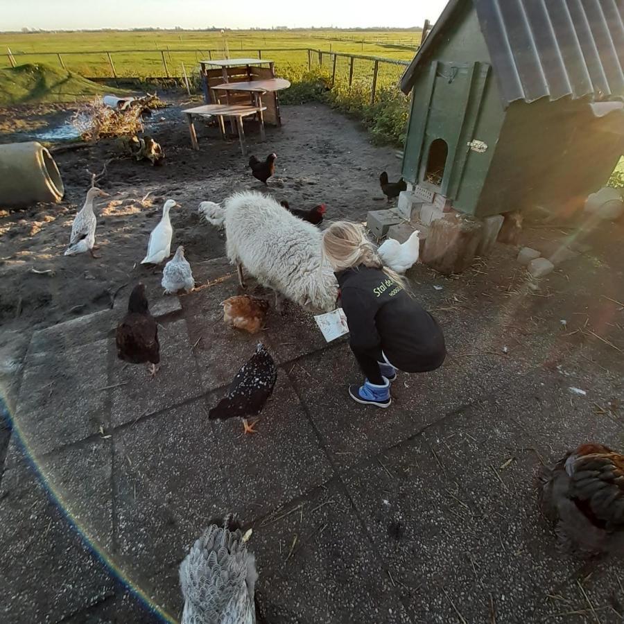 Chalet Weizicht Op Minicamping Hoogelande Grijpskerke ภายนอก รูปภาพ